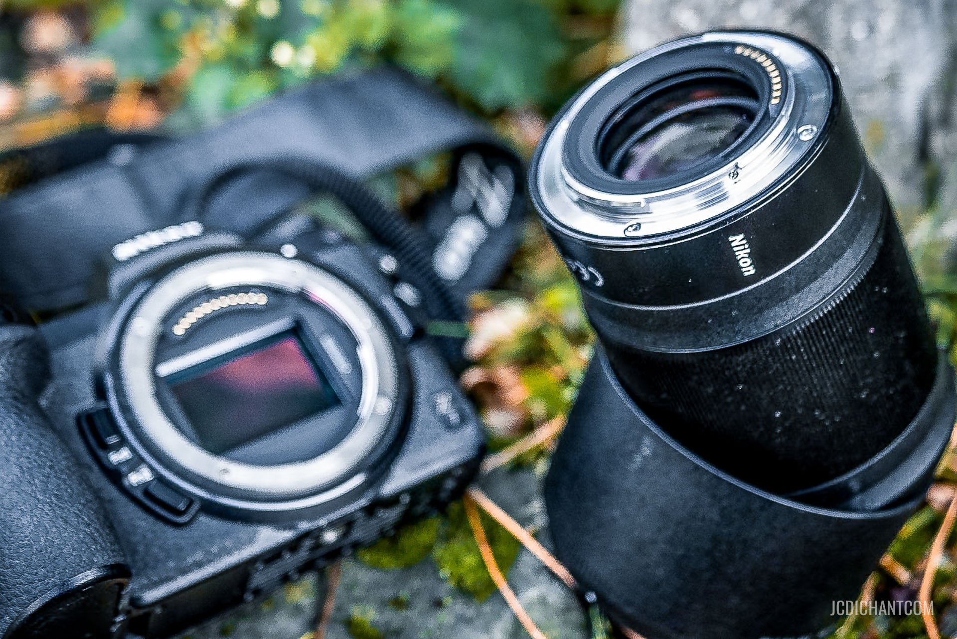 Zoom vs focale fixe, comment choisir ? - photo (©) JC Dichant